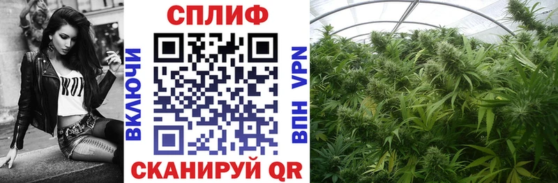Конопля конопля  Приозерск 